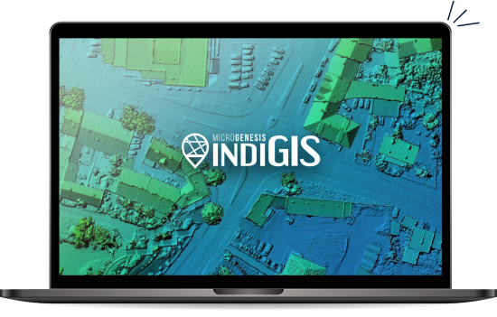 IndiGIS Solution